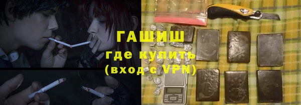 сатива Балахна