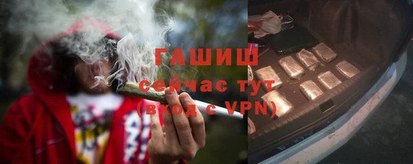 сатива Балахна