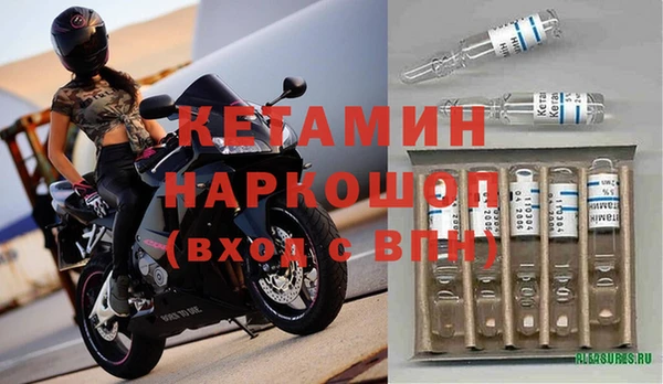 сатива Балахна