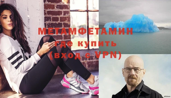 сатива Балахна