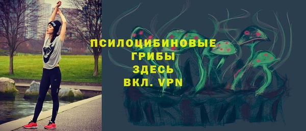 сатива Балахна