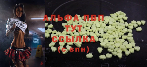 сатива Балахна