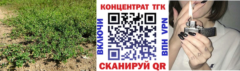 Купить где  Кораблино  ТГК вейп с тгк 