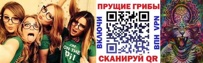 Купить  Кораблино  Галлюциногенные грибы Cubensis 